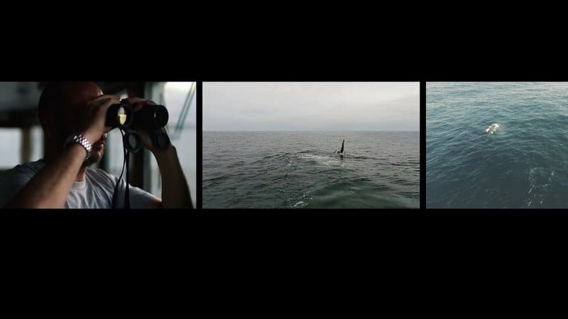 Oceans Not Oil Coalition fighting for South African coastline