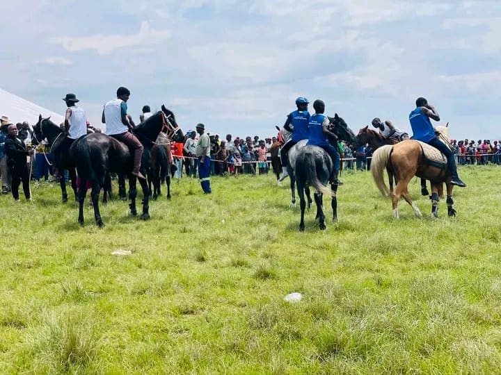 Bizana horse racing weekend Alfred Nzo Horse Racing in Bizana