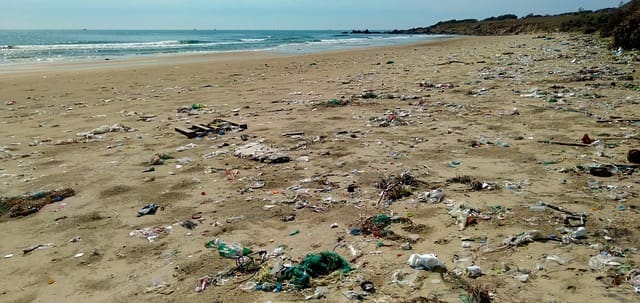Durban Beaches: “The thriving tourist destination is filthy, dirty, and disgusting” Durban Beaches: “The thriving tourist destination is filthy, dirty, and disgusting”