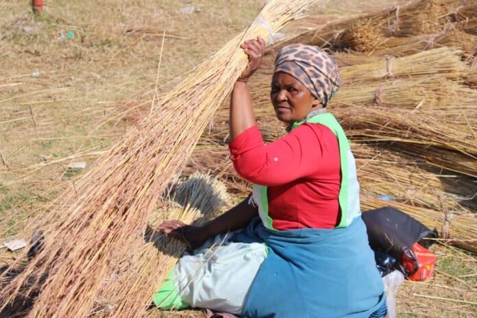 Phakade Umzimvubu Local Municipality 3 Grass Business: A Catalyst for Women's Empowerment