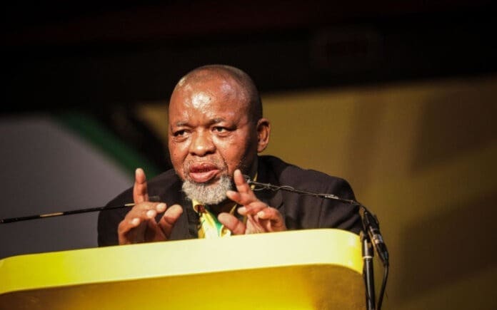 Gwede Mantashe ANC Youth League South African Youth Demand Inclusion in Positions of Power