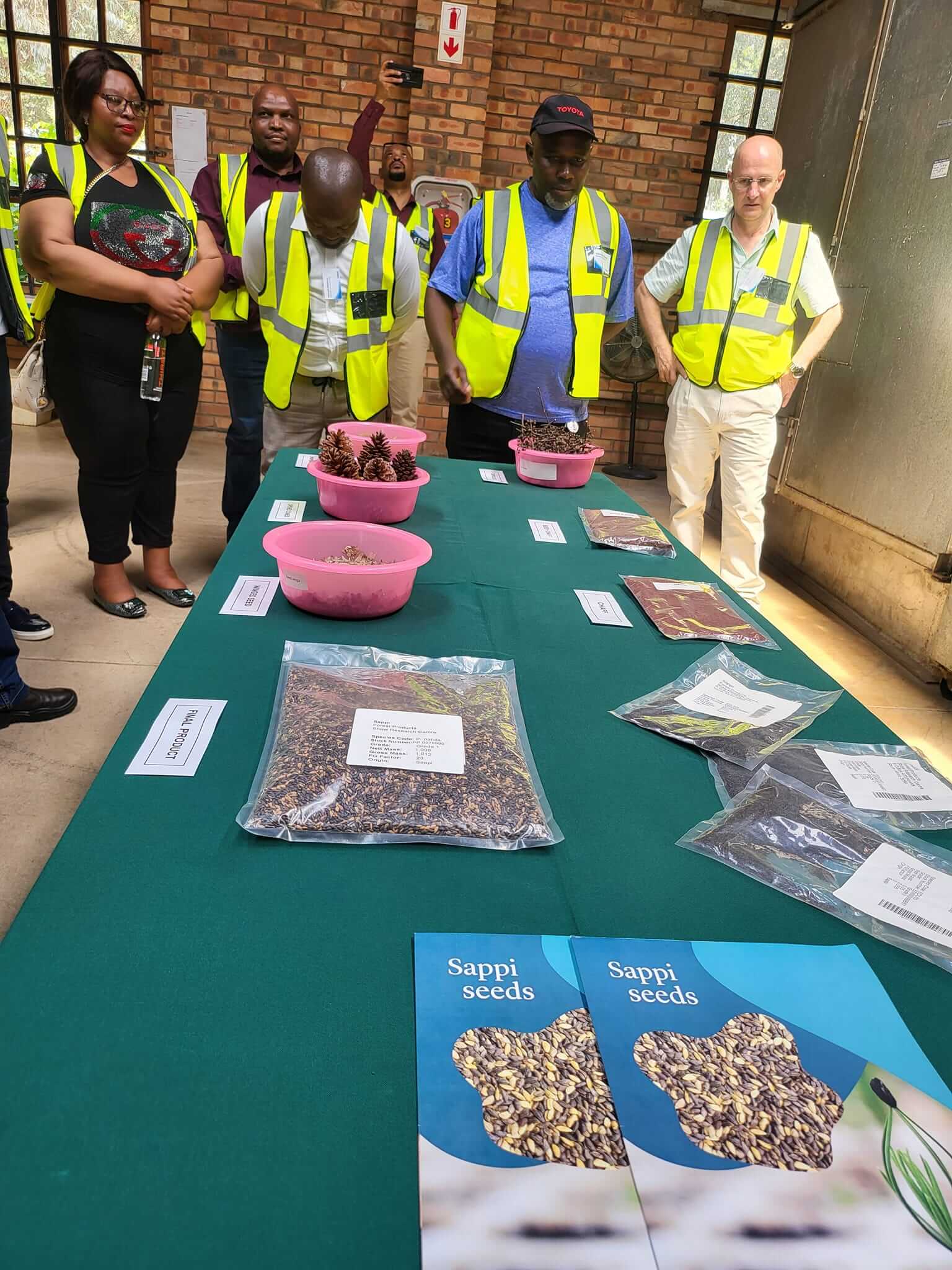 Nyandeni Local Municipality Takes Strides Towards Local Economic Development Through Forestation
