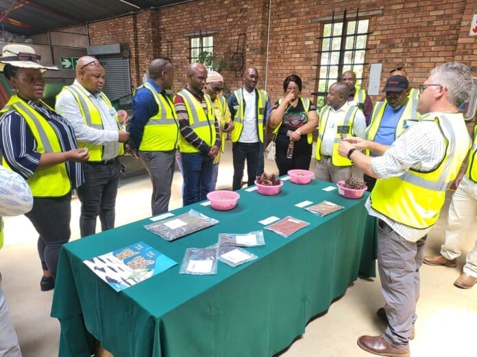 Nyandeni Local Municipality Through Forestation Nyandeni Local Municipality Takes Strides Towards Local Economic Development Through Forestation
