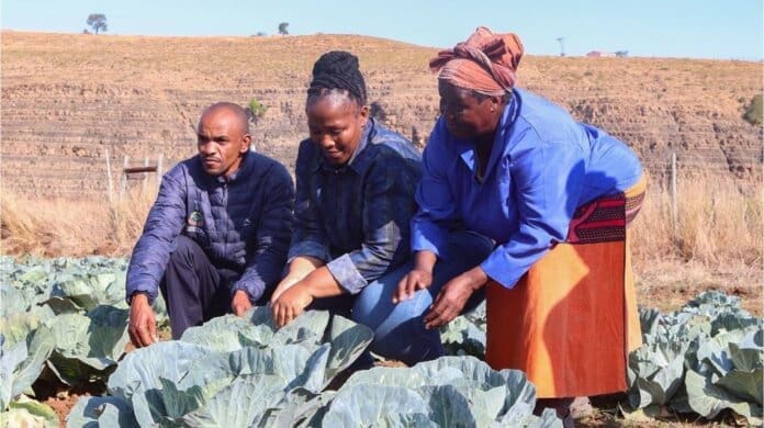 Umzimvubu Local Municipality Pr Week (2) Small Farming Businesses Get a Helping Hand from Umzimvubu Local Municipality