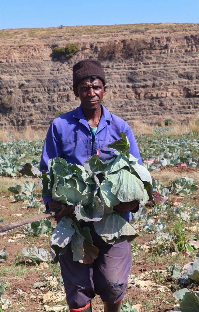 Small Farming Businesses Get a Helping Hand from Umzimvubu Local Municipality