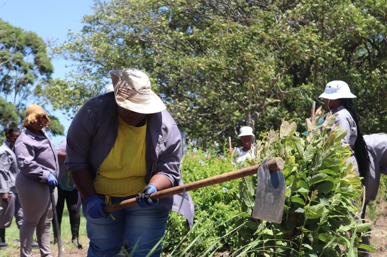 Kamvelo Trading Skills Development Program Benefited 20 Unempoyed Youth With Landscaping Skills