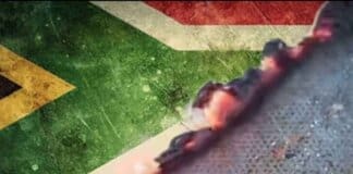 Burning of Flag Equated to Corruption: UDM Condemns Hypocrisy in Political Critique Burning of Flag Equated to Corruption: UDM Condemns Hypocrisy in Political Critique