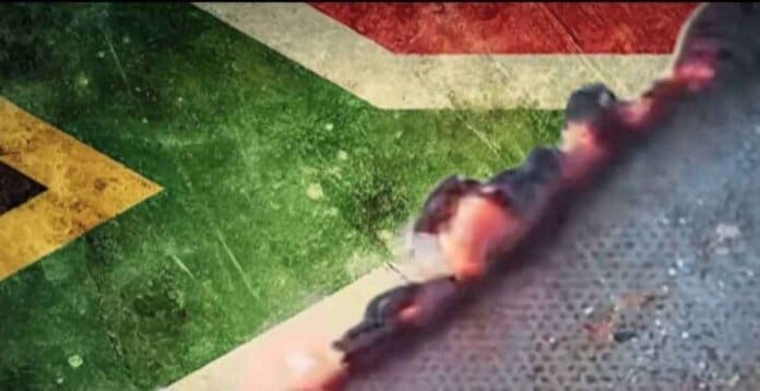 The Democratic Alliance DA Has Come Under Fire For A TV Advert Depicting The Burning Of The SA Flag 0 11zon Burning of Flag Equated to Corruption: UDM Condemns Hypocrisy in Political Critique