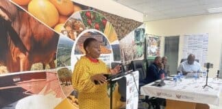 Eastern Cape Faces Widespread Veldfire Devastation, Threatening Rural Livelihoods and Food Security Eastern Cape Faces Widespread Veldfire Devastation, Threatening Rural Livelihoods and Food Security