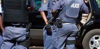 Six Arrests Five Vehicles Seized In Two Separate Crime Intelligence Operations In The North West 11zon