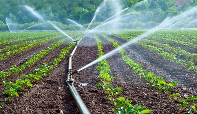 Water Irrigation Land Reform Crucial for Agri Commercialization
