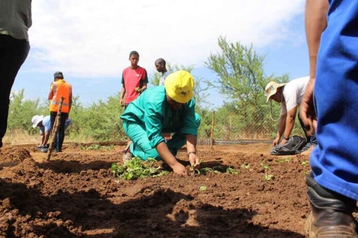 Call For Agricultural Inputs Funding Applications 11zon Call for Agricultural Inputs Funding Applications