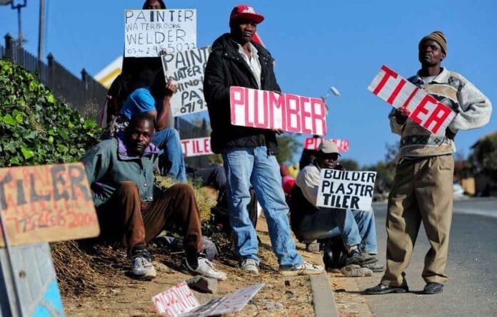 employment statistics Youth on the Margins: Unemployment Crisis Deepens