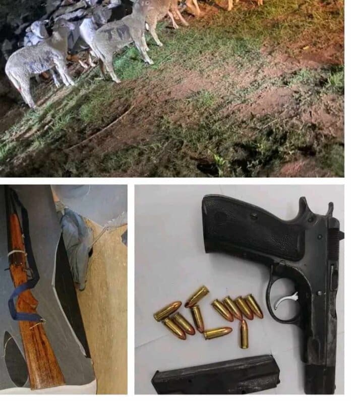 Joe Gqabi Police Successes South African Police Service (SAPS) members within the OR Tambo District are intensifying operations to enhance community safety.