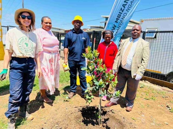 Ntabankulu Local Municipality Trees 11zon Greening the District: Santam, Food and Trees for Africa, and Alfred Nzo District Municipality Unite