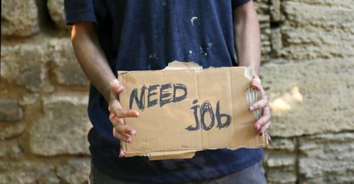 Unemployment 2 1150x600 Eastern Cape Province Sees Significant Boost in Employment Rate