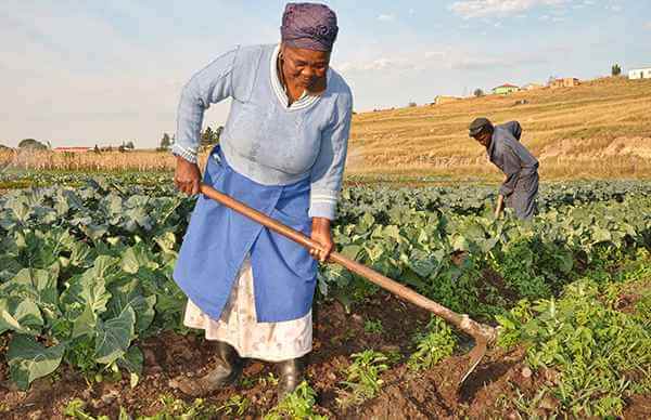 The Rafi Project In Rural Eastern Cape 11