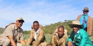 Sowing the Seeds of Success: Why Eastern Cape Youth Should Invest in Farming