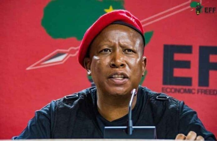 EFF Eastern Cape Rejects Appointment of Vuyo Mlokothi as COGTA Head