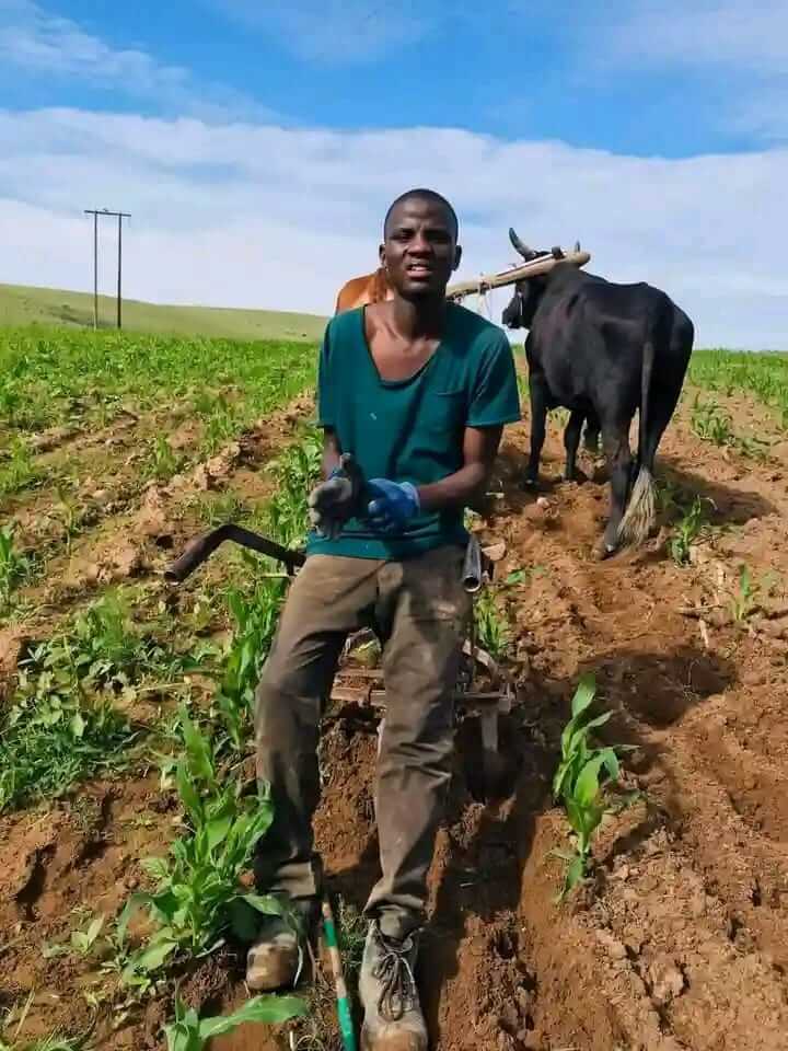 From NSFAS to Success: Young Farmer Builds Award-Winning Business