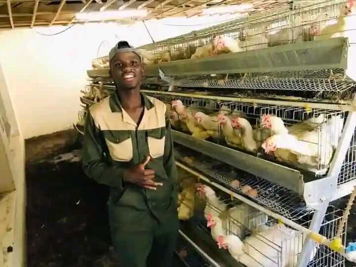 From NSFAS to Success: Young Farmer Builds Award-Winning Business