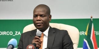 South Africa’s Farmers Get Relief as Tanzania Lifts Import Ban Minister Welcomes Lifting of Ban on South African Agricultural Products
