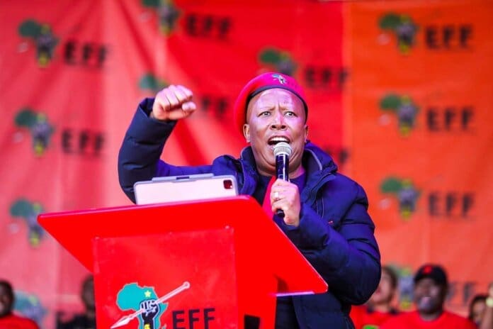 Julius Malema’s Firearm Trial Verdict Sparks Strong EFF Response Julius Malema’s Firearm Trial Verdict Sparks Strong EFF Response