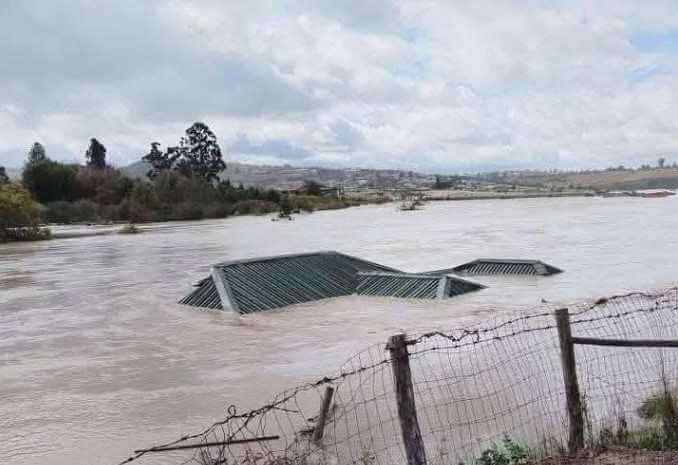 Eastern Cape Foods 2025 11zon Eastern Cape Accelerates Housing for Displaced Families