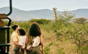 Mpilo Safari Lodge Mpilo Safari Lodge: A Key piece of Club Med’s allure to experience South Africa