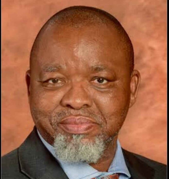 Minister Of Police Gwede Mantashe 11zon Ramaphosa Appoints Gwede Mantashe as Acting Police Minister