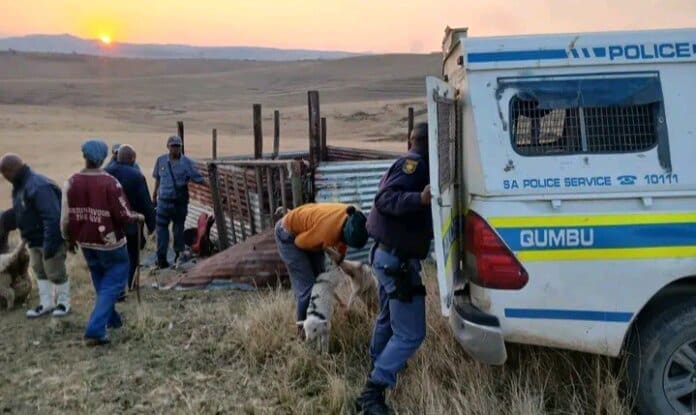 Qumbu Police Arrest Suspect Stock Theft Case Qumbu police have arrested suspect for stock theft.