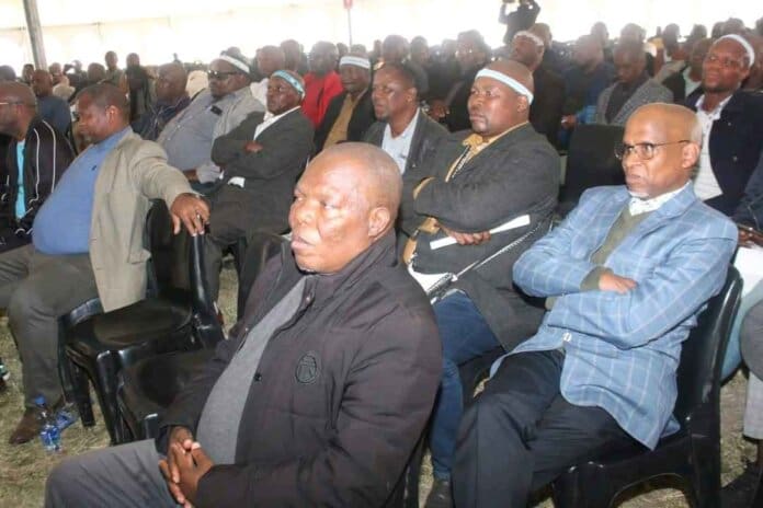 eastern cape calls unity protect safe dignified initiation practices