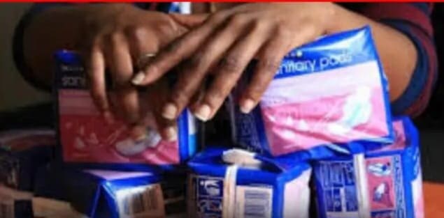 Eff Launches Sanitary Towel Month Womens Rights March EFF launches sanitary towel month womens rights march