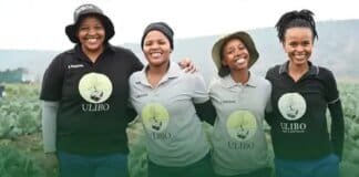 Women-Led Farming Initiative Strengthens Rural Economies women led farming initiative strengthens rural economies