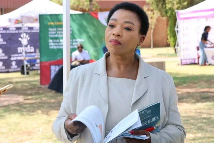 On 29 October 2025, Deputy Minister Dr. Nomusa Dube-Ncube officially launched the 4IR Centre of Excellence at Flavius Mareka TVET College in Sasolburg.
