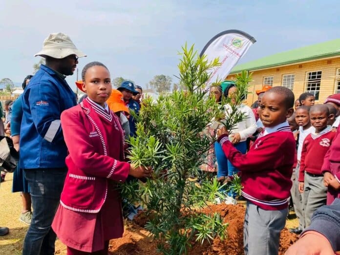 Kwabhaca Learners Plant Trees Arbor Day KwaBhaca Learners Plant Trees for Arbor Day