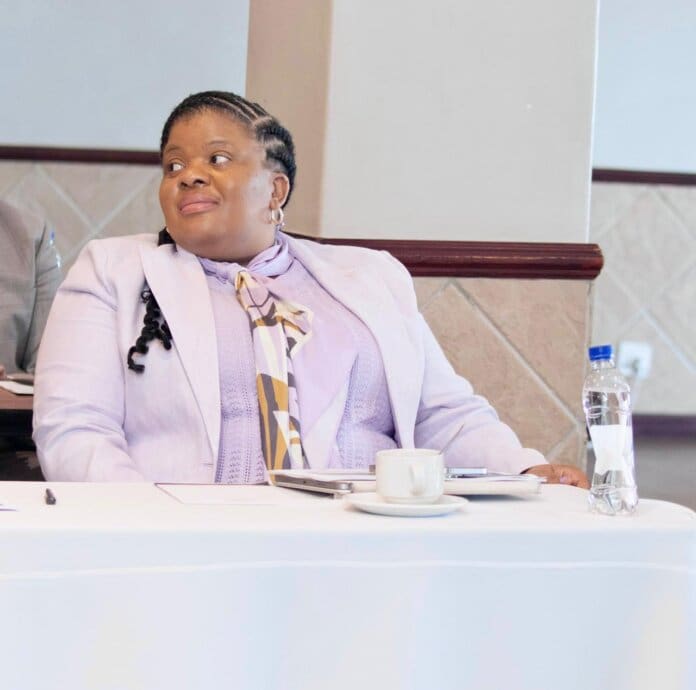 Portfolio Committee Probes Water Crisis Buffalo City portfolio committee probes water crisis buffalo city