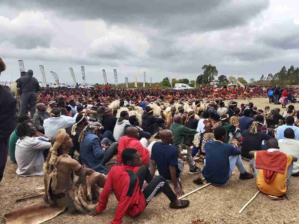 sassa joins 2025 royal reed dance in KwaZulu-Natal sassa joins 2025 royal reed dance in KwaZulu-Natal