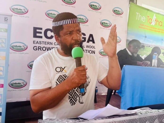 Wool Growers Rally Ngcobo Ahead Flock Showdown wool growers rally ngcobo ahead flock showdown