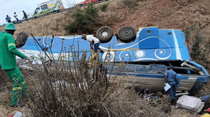 Limpopo bus