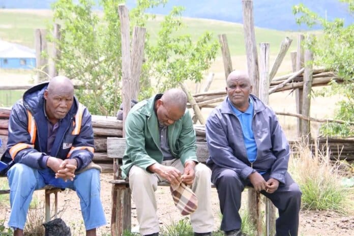Local Farmers Unite for O.R. Tambo District Farmer’s Day