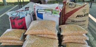Farmers Unite at EmaXesibeni for “Heart of Perfect Farming” Event