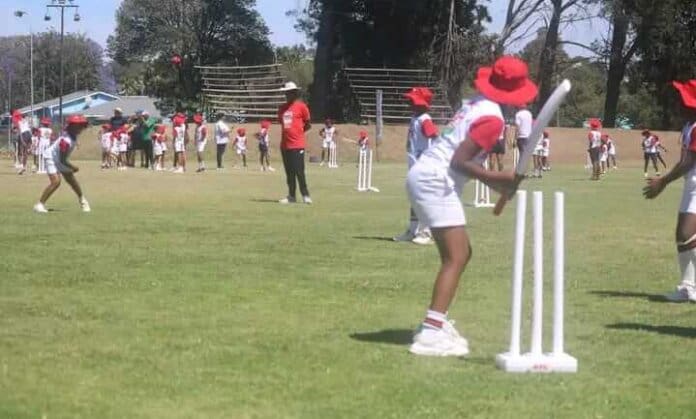 KFC Sport KFC Sport