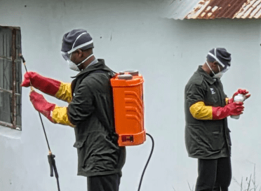 Fumigating Strange Millipedes Prompt Health Checks in Port St Johns Ward 16