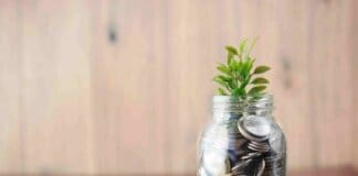 Services SETA grant window closed for 2026/27 applications