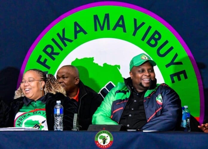 Internal Defeat And Constitutional Claims What Nolubabalo Mcinga’s Challenge Reveals About Movement Power Struggles Internal Defeat and Constitutional Claims What Nolubabalo Mcinga’s Challenge Reveals About Movement Power Struggles