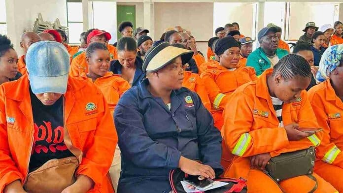 80 Jobs Created Through Umzimvubu–DFFE Environmental Partnership (4) 80 Jobs Created Through Umzimvubu–DFFE Environmental Partnership (4)