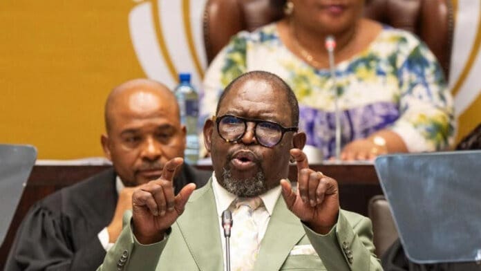 EFF rejects Budget Speech 2026 and backs tax relief