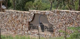 ConCourt judgment expected in Phala Phala matter involving Ramaphosa Phala Phala Farm.jpg