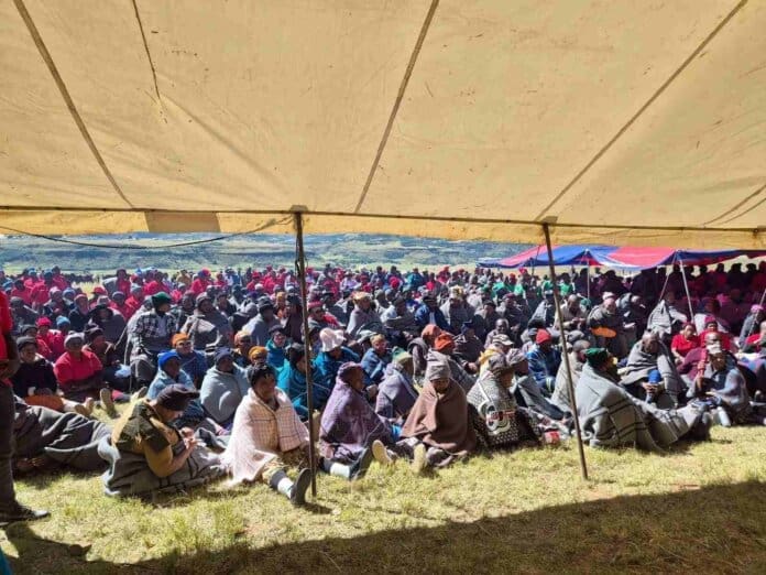 Unity drives fight against stock theft in Matatiele Unity drives fight against stock theft in Matatiele